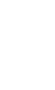 leacent Business Group