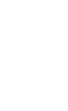 leacent Business Group